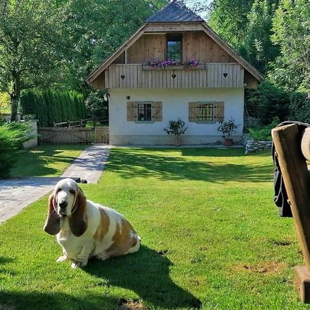 Vila Jana Radovljica Εξωτερικό φωτογραφία